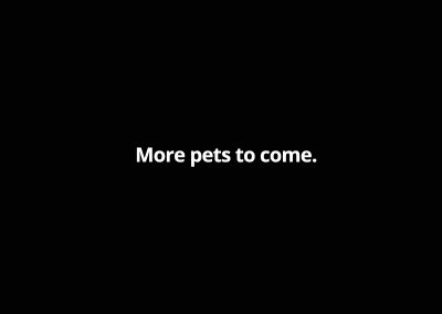 More_pets_to_come