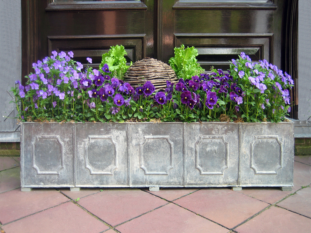 containers_pansy_trough